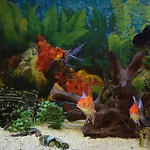 Villa Boutique Rosa Dei Venti