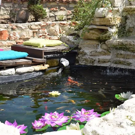 빌라 Rosa Dei Venti Heated Salty Pool And Jacuzzi