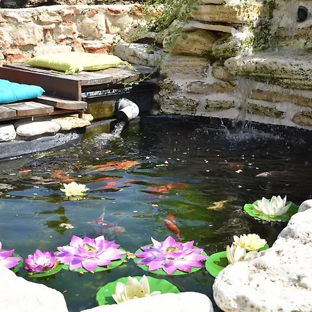 Rosa Dei Venti Heated Salty Pool And Jacuzzi 발치크