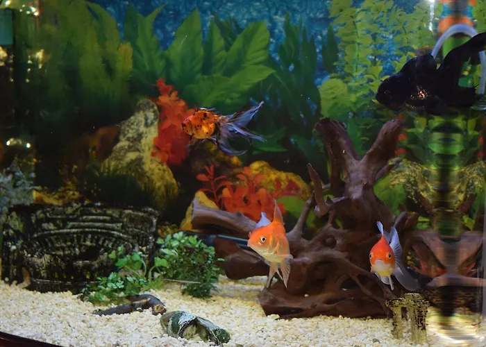 Villa Boutique Rosa Dei Venti